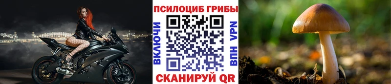 Псилоцибиновые грибы ЛСД  сайты даркнета как зайти  Томск  гидра сайт 